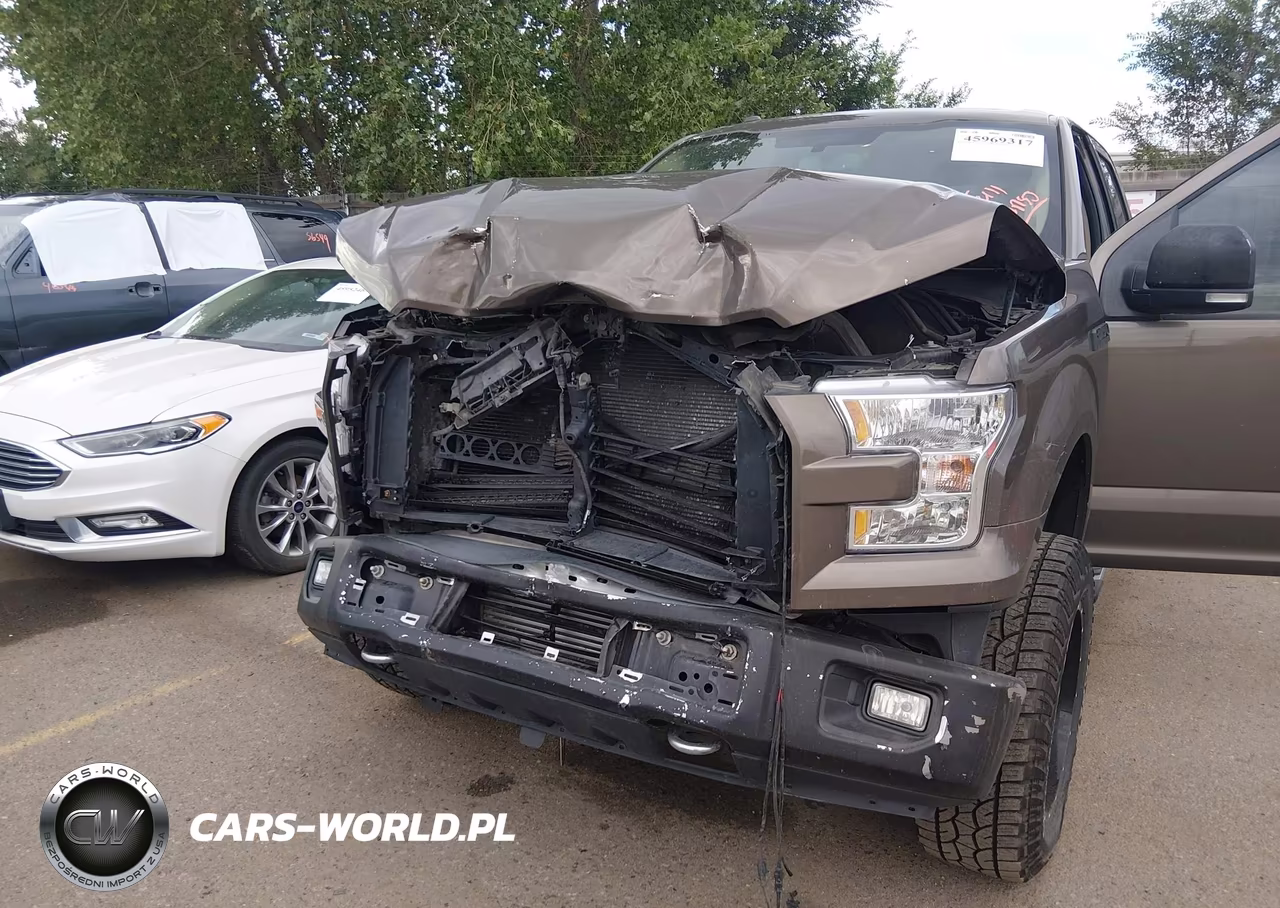 2017 Ford F-150 King Ranch-Lariat-Limited-Platinum-Xl-Xlt VIN:1FTEW1EG1HKE16753 - 6
