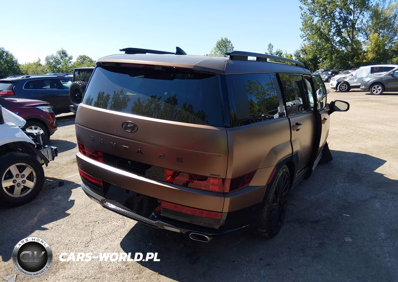 2024 Hyundai Santa Fe Calligraphy VIN:5NMP5DGL4RH063672 - 4