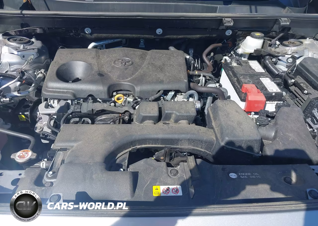 2024 Toyota Rav4 Xle VIN:2T3P1RFV1RC442881 - 10