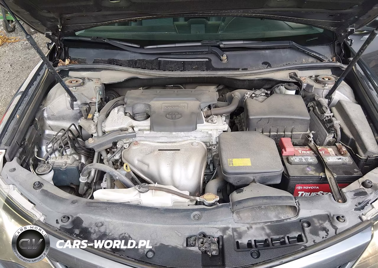 2014 Toyota Camry Se VIN:4T1BF1FK6EU302376 - 10