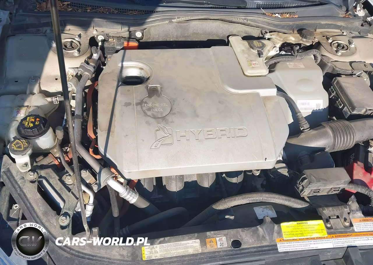 2010 Ford Fusion Hybrid VIN:3FADP0L33AR199989 - 10