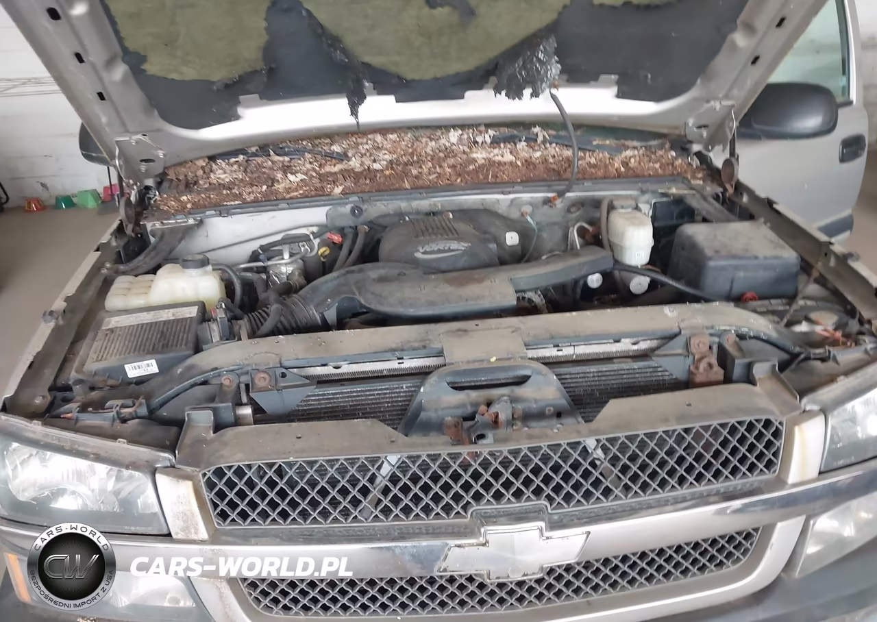 2004 Chevrolet Avalanche 1500 VIN:3GNEK12T04G113565 - 10