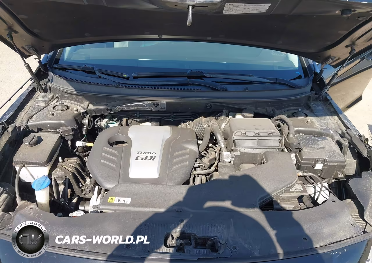 2016 Hyundai Sonata Eco VIN:5NPE24AA9GH354580 - 10
