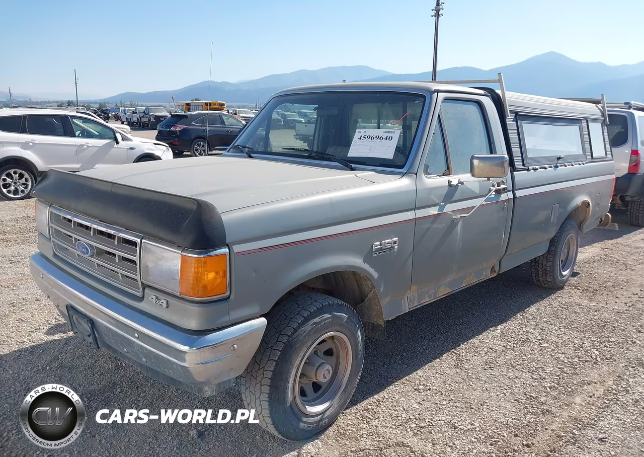 1988 Ford F150 VIN:1FTEF14N3JPB54193 - 2