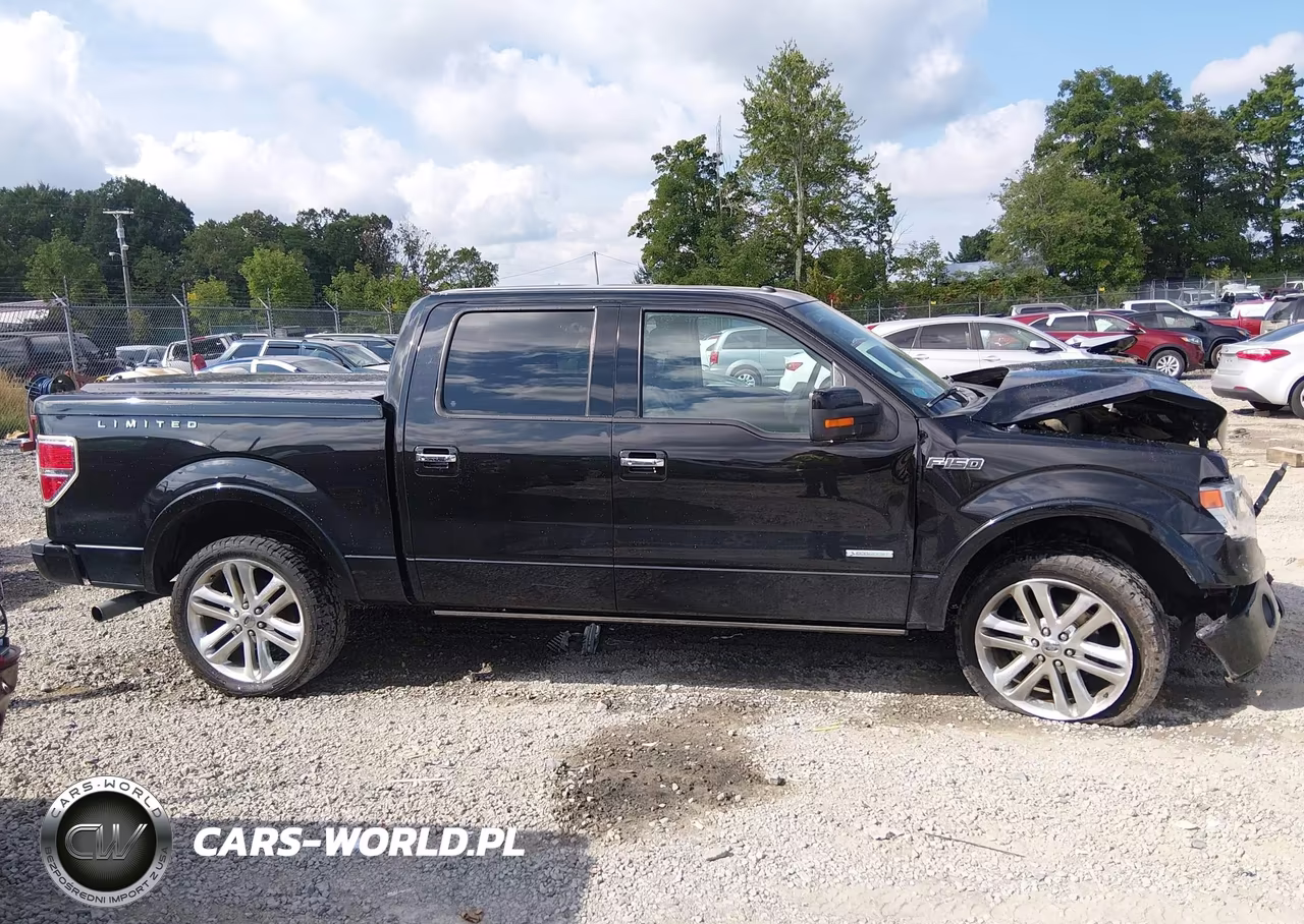 2013 Ford F-150 Limited VIN:1FTFW1ET5DFD54293 - 13