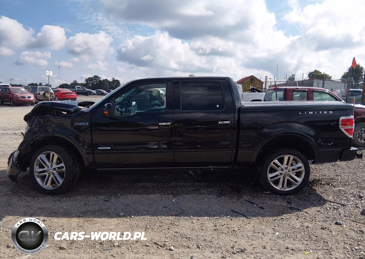2013 Ford F-150 Limited VIN:1FTFW1ET5DFD54293 - 14