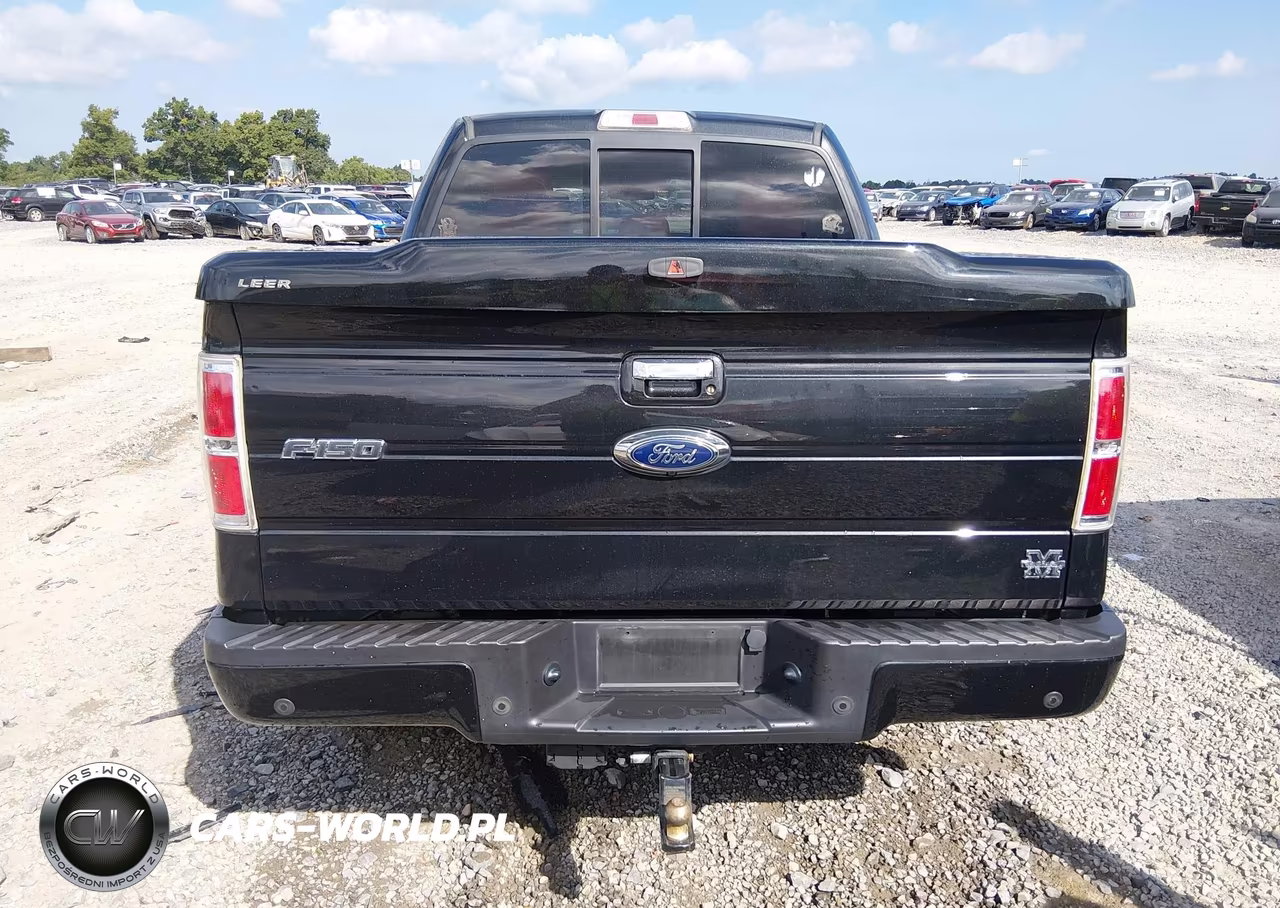 2013 Ford F-150 Limited VIN:1FTFW1ET5DFD54293 - 16