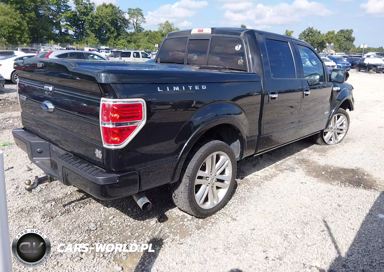 2013 Ford F-150 Limited VIN:1FTFW1ET5DFD54293 - 4
