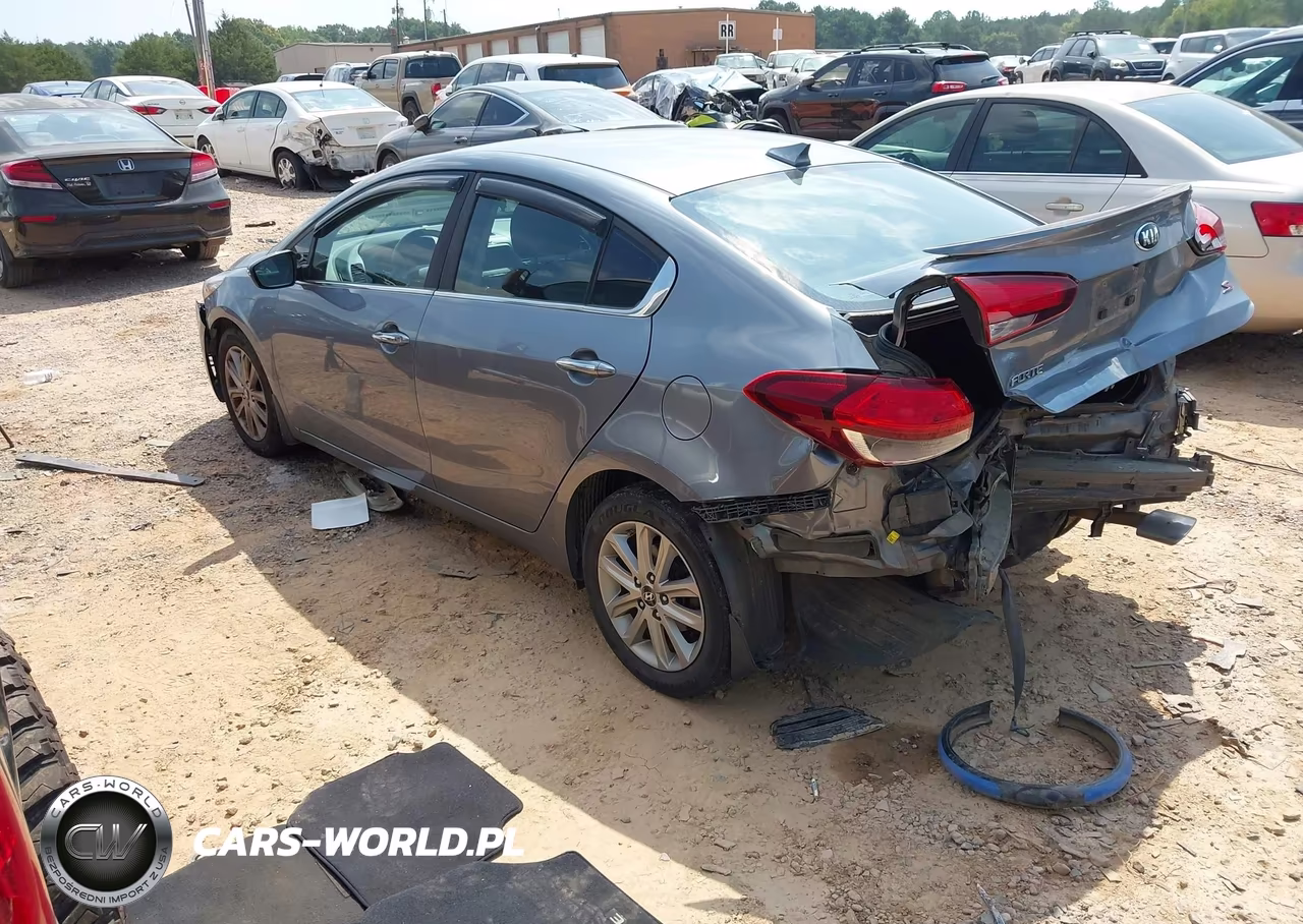 2017 Kia Forte S VIN:3KPFL4A76HE089838 - 3