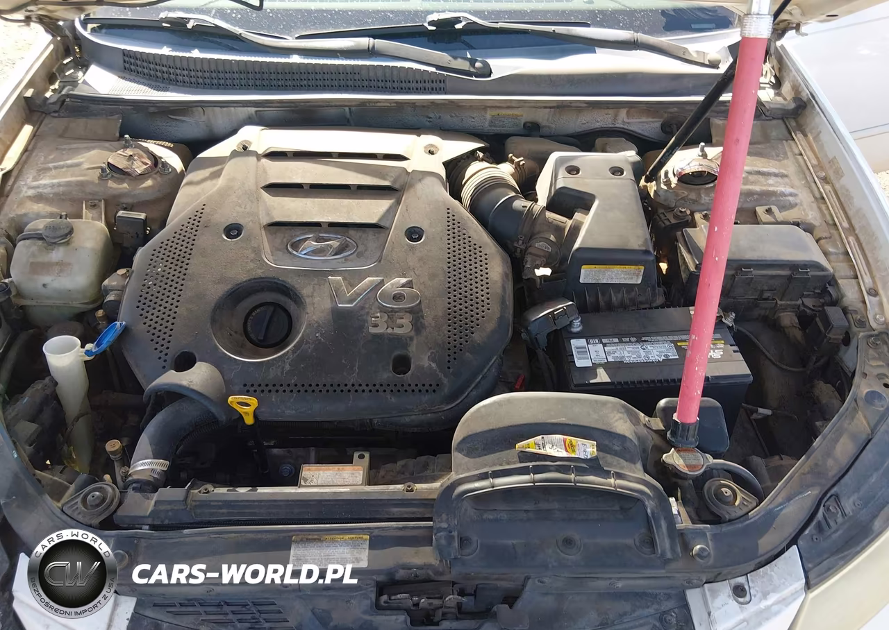 2007 Hyundai Sonata Limited-Se V6 VIN:5NPEU46FX7H259668 - 10