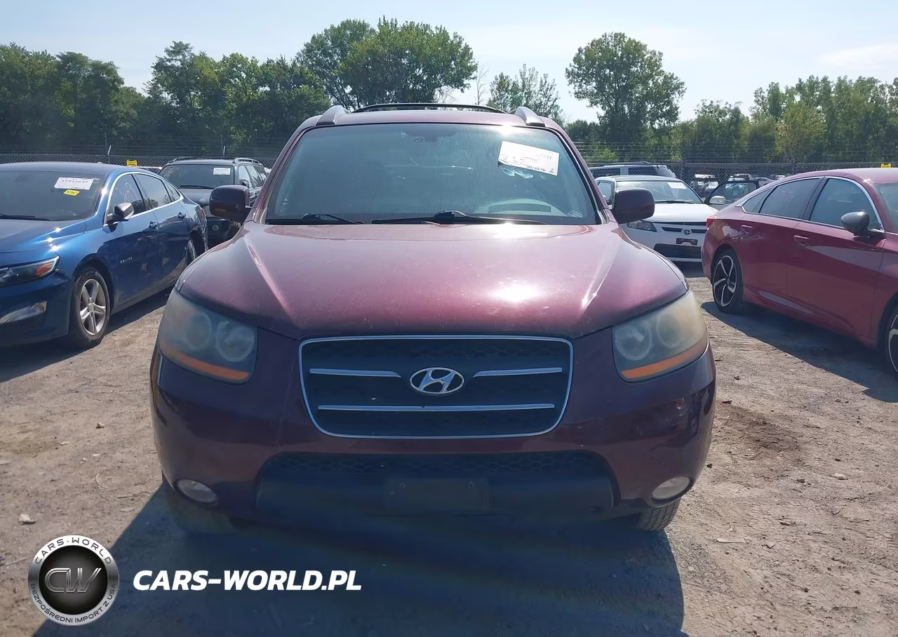 2009 Hyundai Santa Fe Limited VIN:5NMSH13E39H287894 - 6