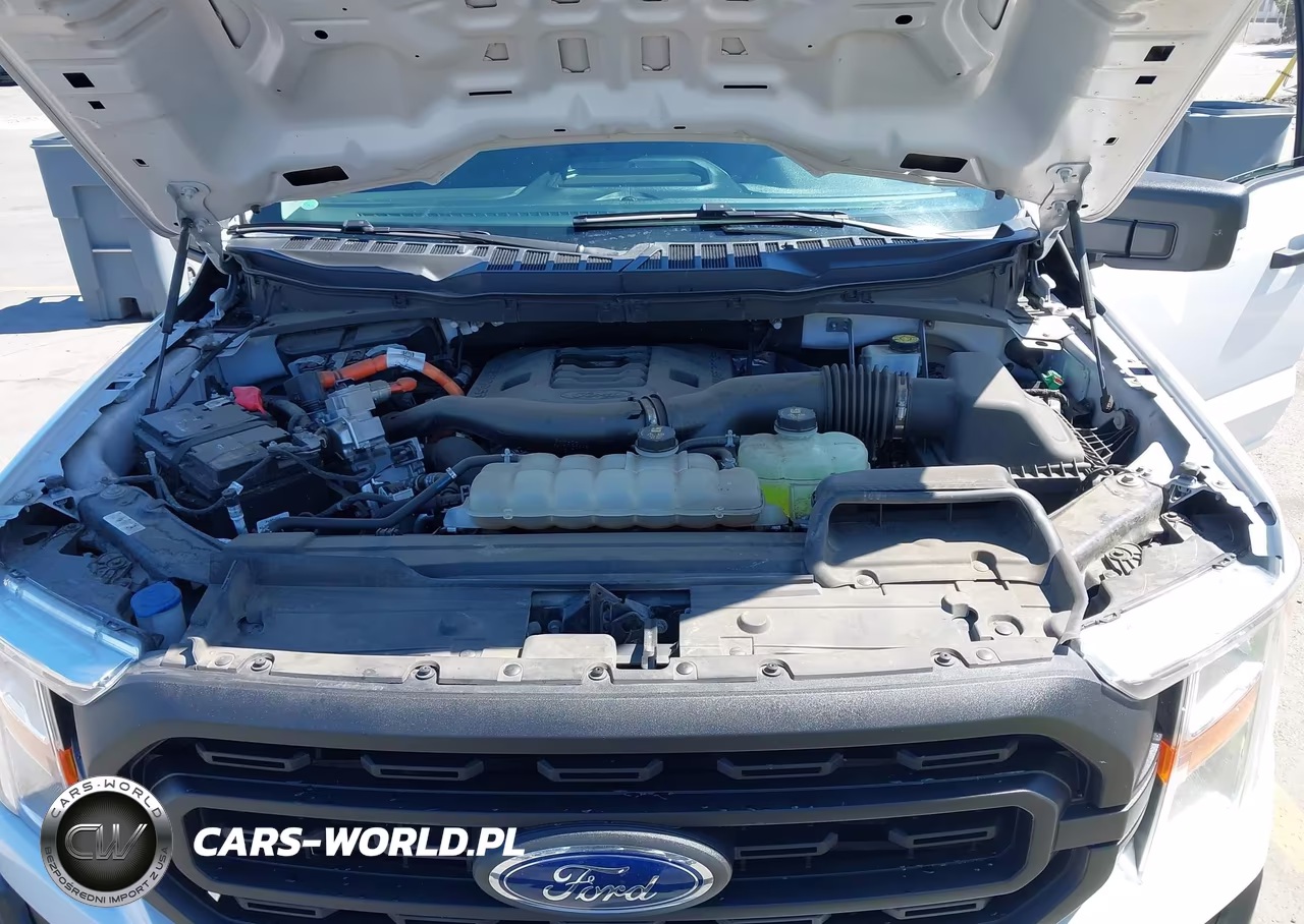 2021 Ford F-150 Xl VIN:1FTFW1CD9MFC37375 - 10