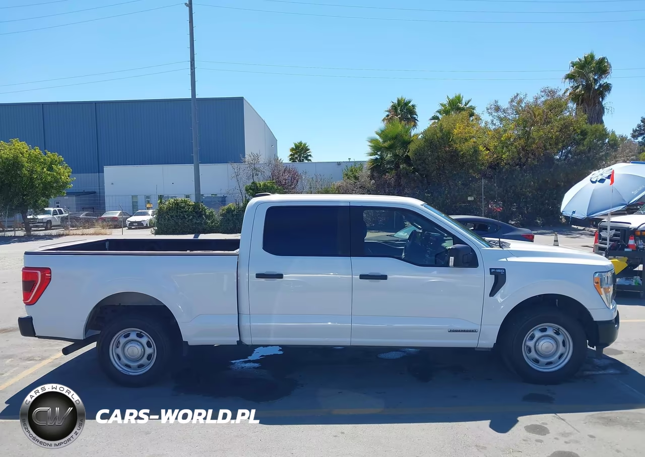 2021 Ford F-150 Xl VIN:1FTFW1CD9MFC37375 - 13