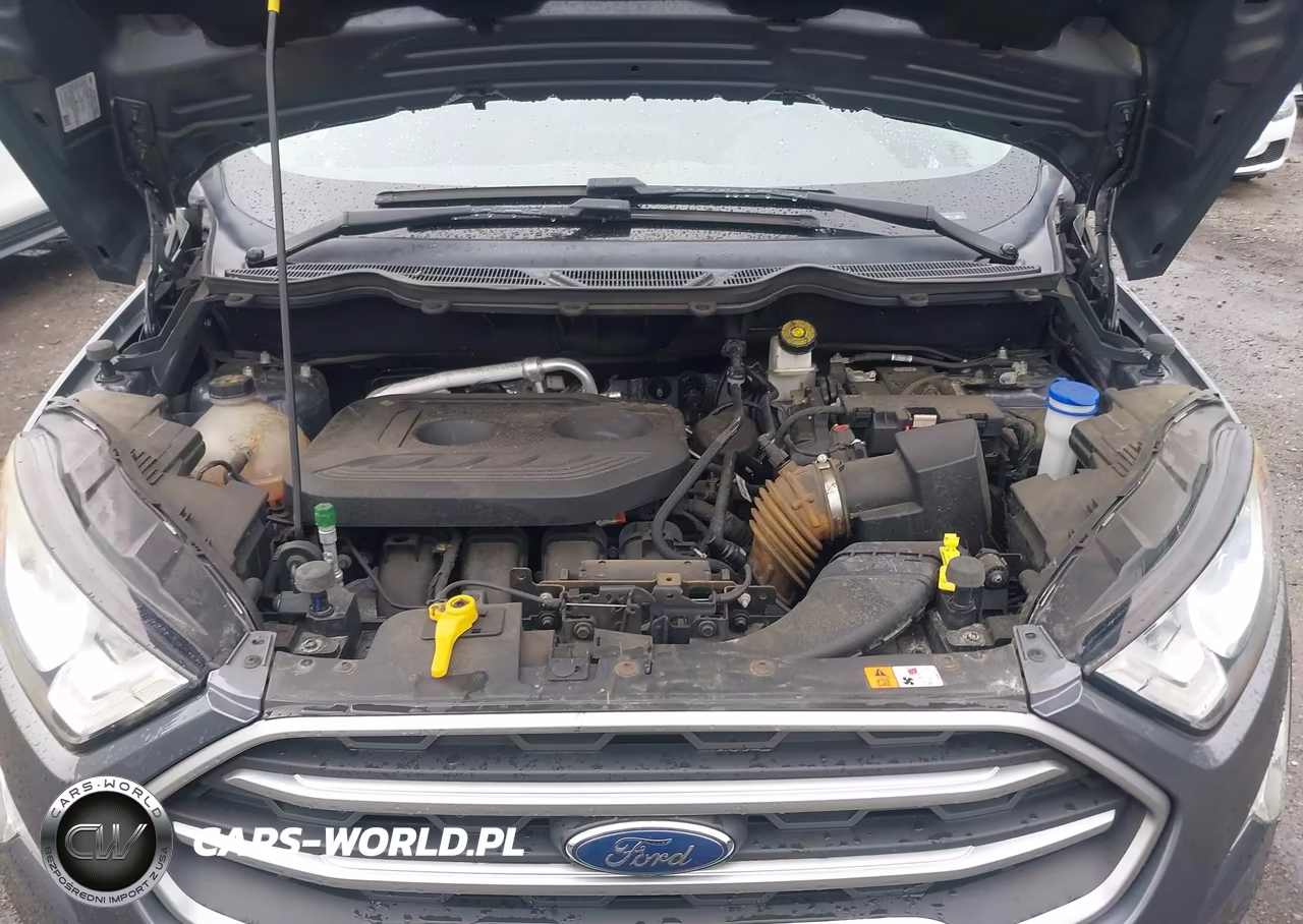 2018 Ford Ecosport Se VIN:MAJ6P1ULXJC185678 - 10
