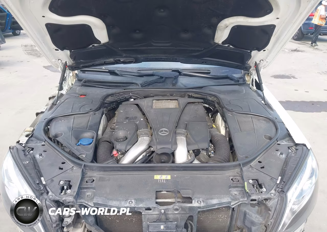 2015 Mercedes-Benz S 550 VIN:WDDUG8CB9FA163179 - 10