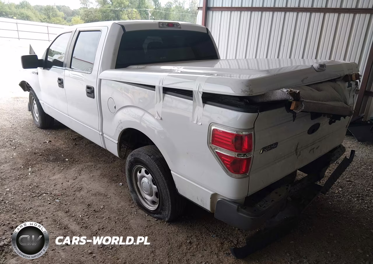2010 Ford F-150 Fx2 Sport-Harley-Davidson-King Ranch-Lariat-Platinum-Xl-Xlt VIN:1FTFW1CV2AFB13498 - 3