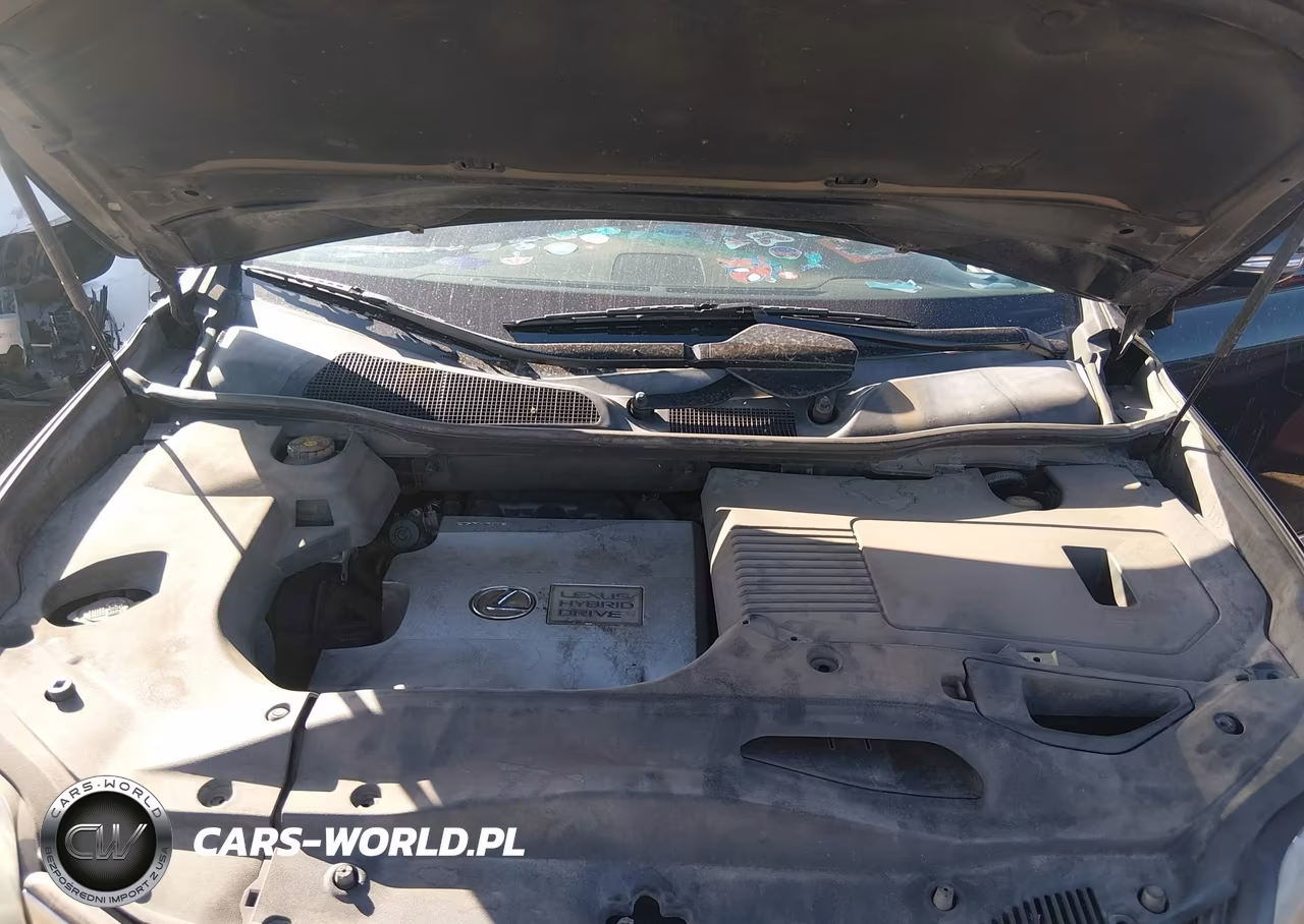2010 Lexus Rx 450H VIN:JTJBC1BA3A2027031 - 10
