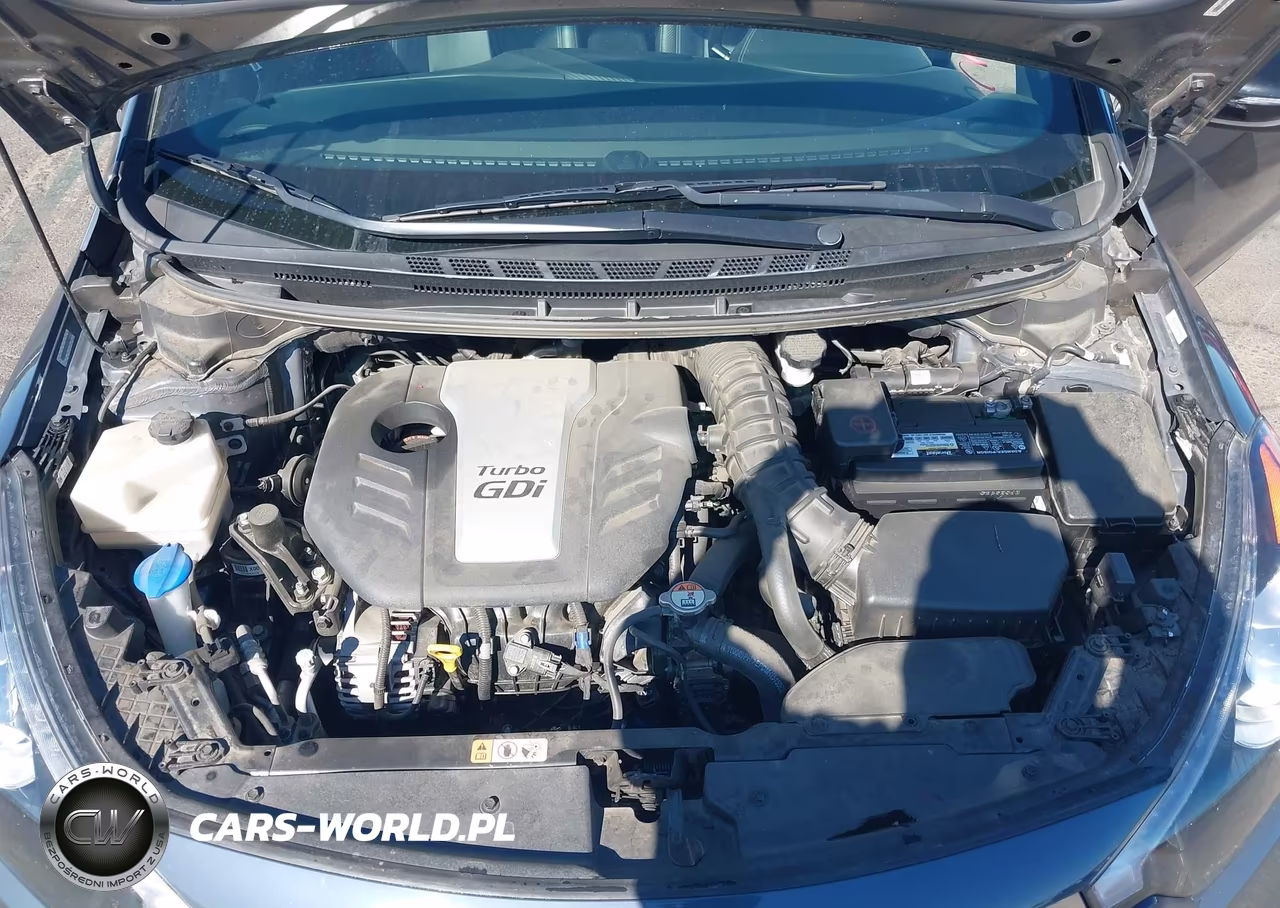 2015 Kia Forte Sx VIN:KNAFZ5A39F5292598 - 10