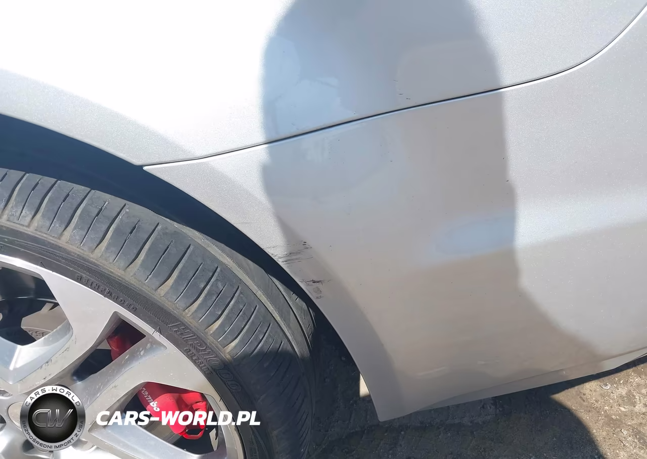 CHEVROLET SS VIN:6G3F15RW5HL301999 - 19