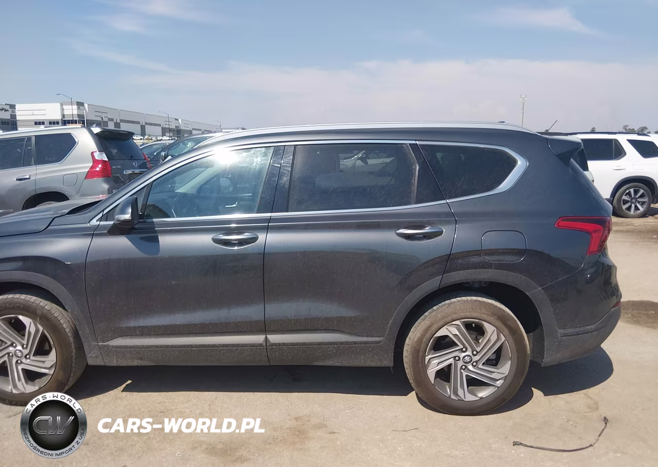 2023 Hyundai Santa Fe Sel VIN:5NMS24AJXPH617157 - 13