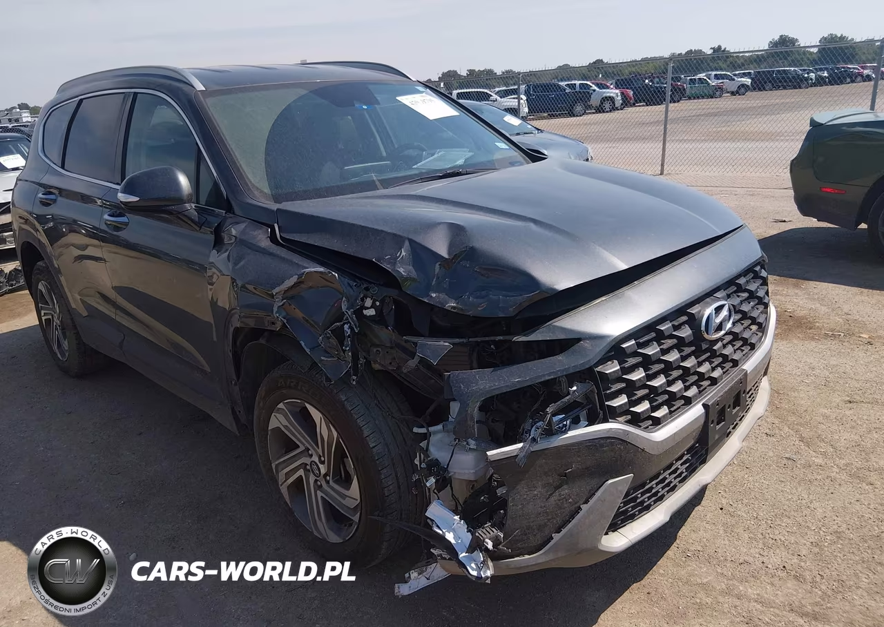 2023 Hyundai Santa Fe Sel VIN:5NMS24AJXPH617157 - 6