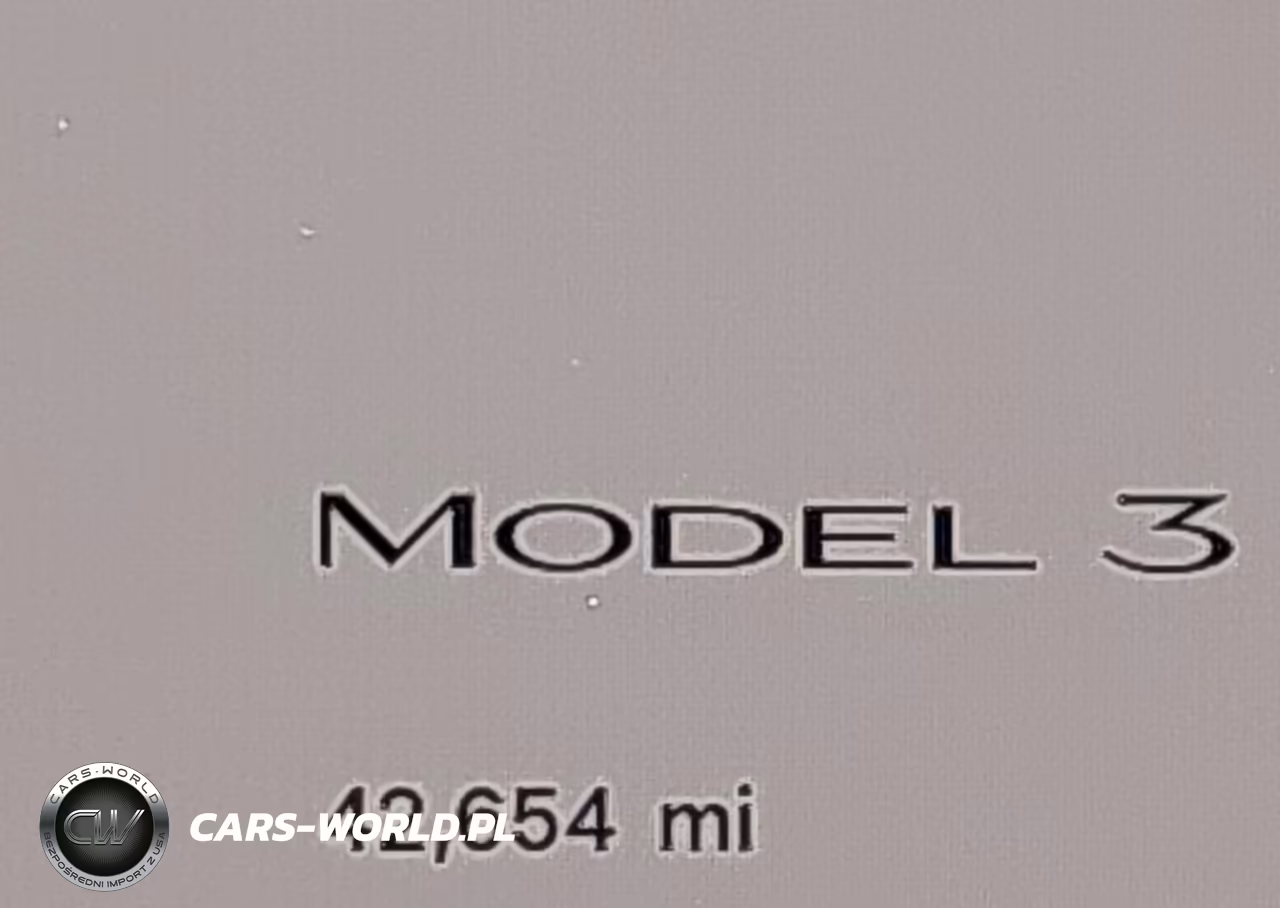 2023 Tesla Model 3 Rear-Wheel Drive VIN:5YJ3E1EA9PF385706 - 15