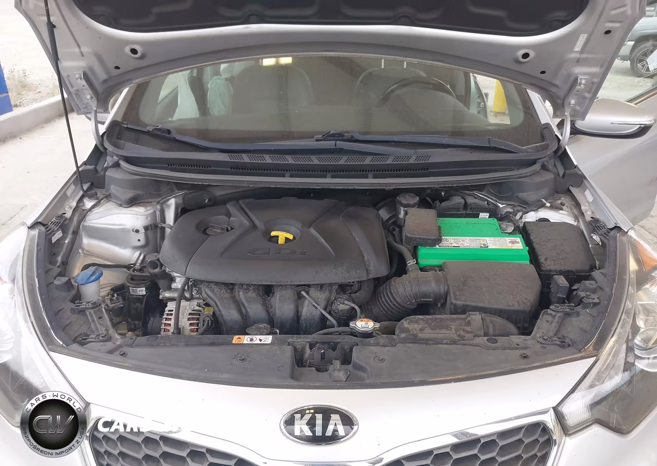 2016 Kia Forte Ex VIN:KNAFZ4A86G5464755 - 10