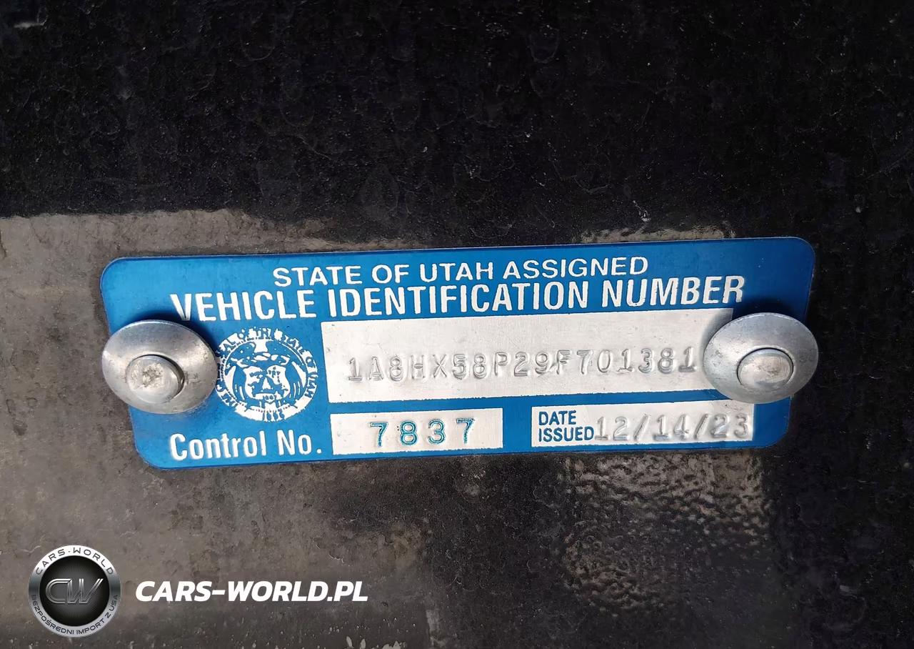 2009 Chrysler Aspen Limited VIN:1A8HX58P29F701381 - 9