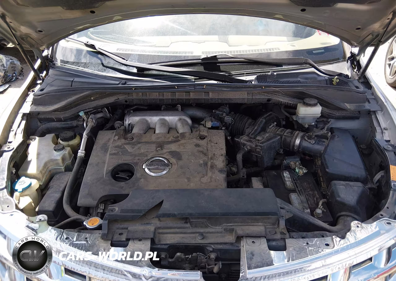 2004 Nissan Murano Sl VIN:JN8AZ08W94W306818 - 10