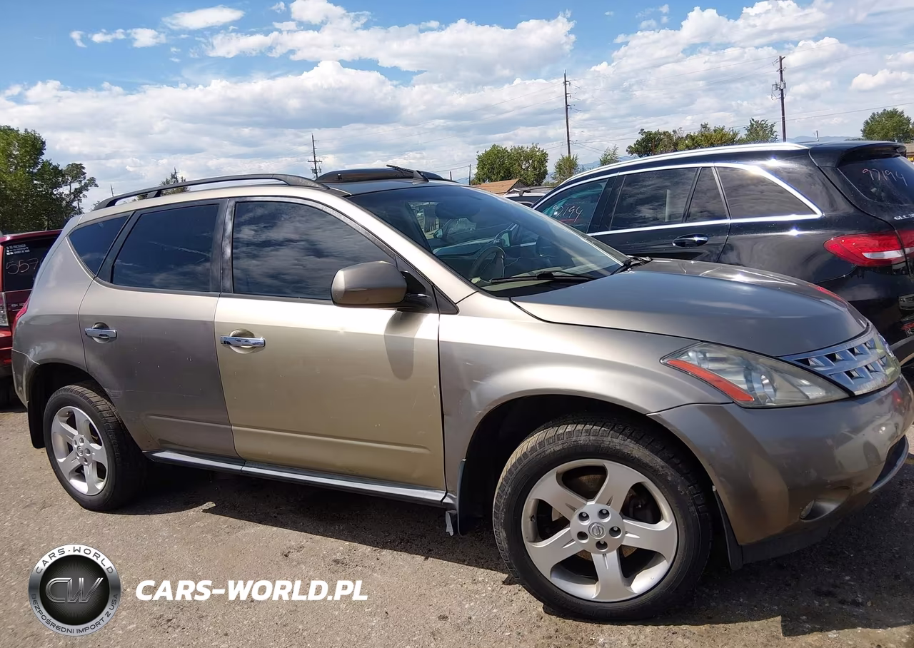 2004 Nissan Murano Sl VIN:JN8AZ08W94W306818 - 12