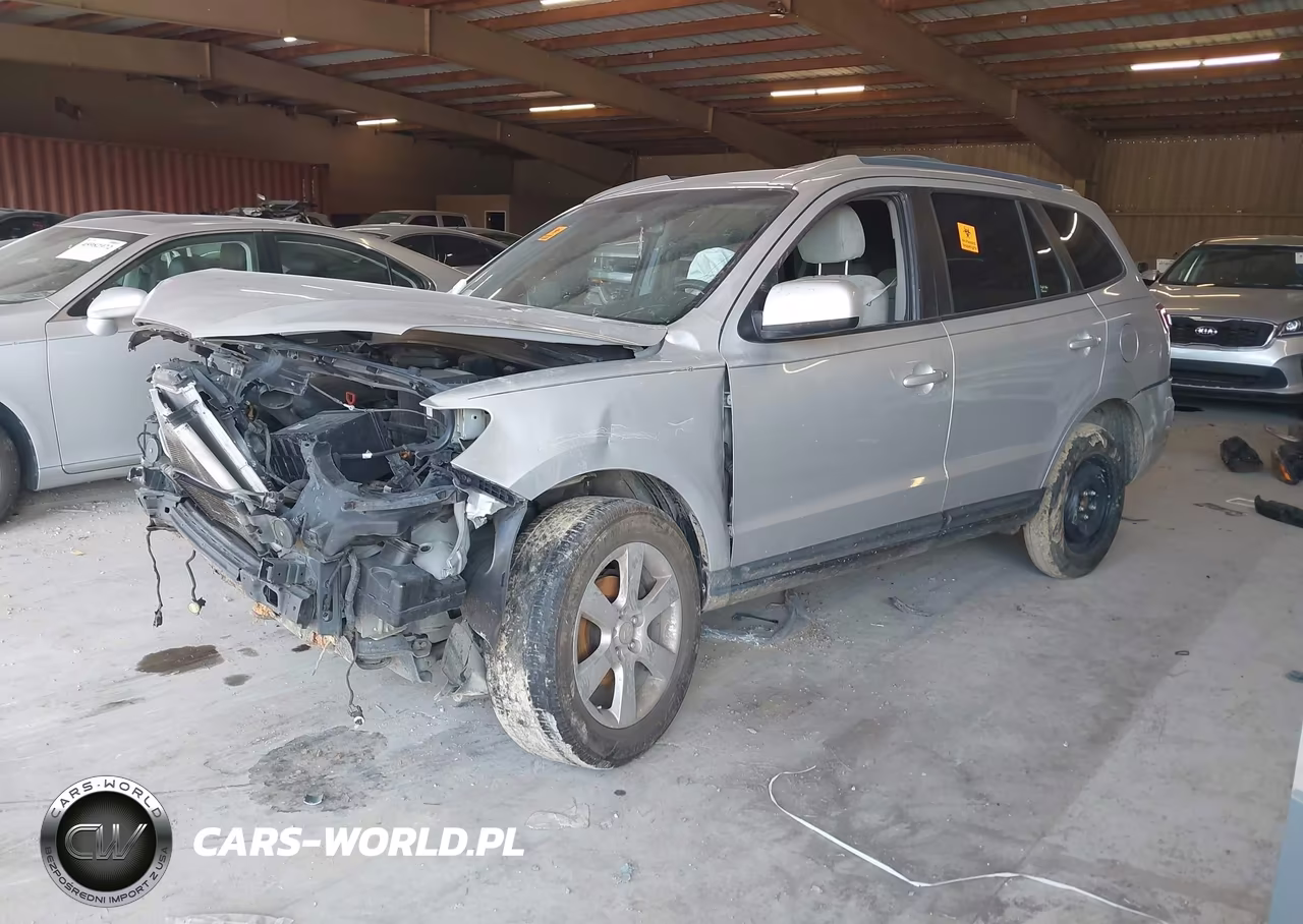 2009 Hyundai Santa Fe Se VIN:5NMSH13E79H239217 - 2