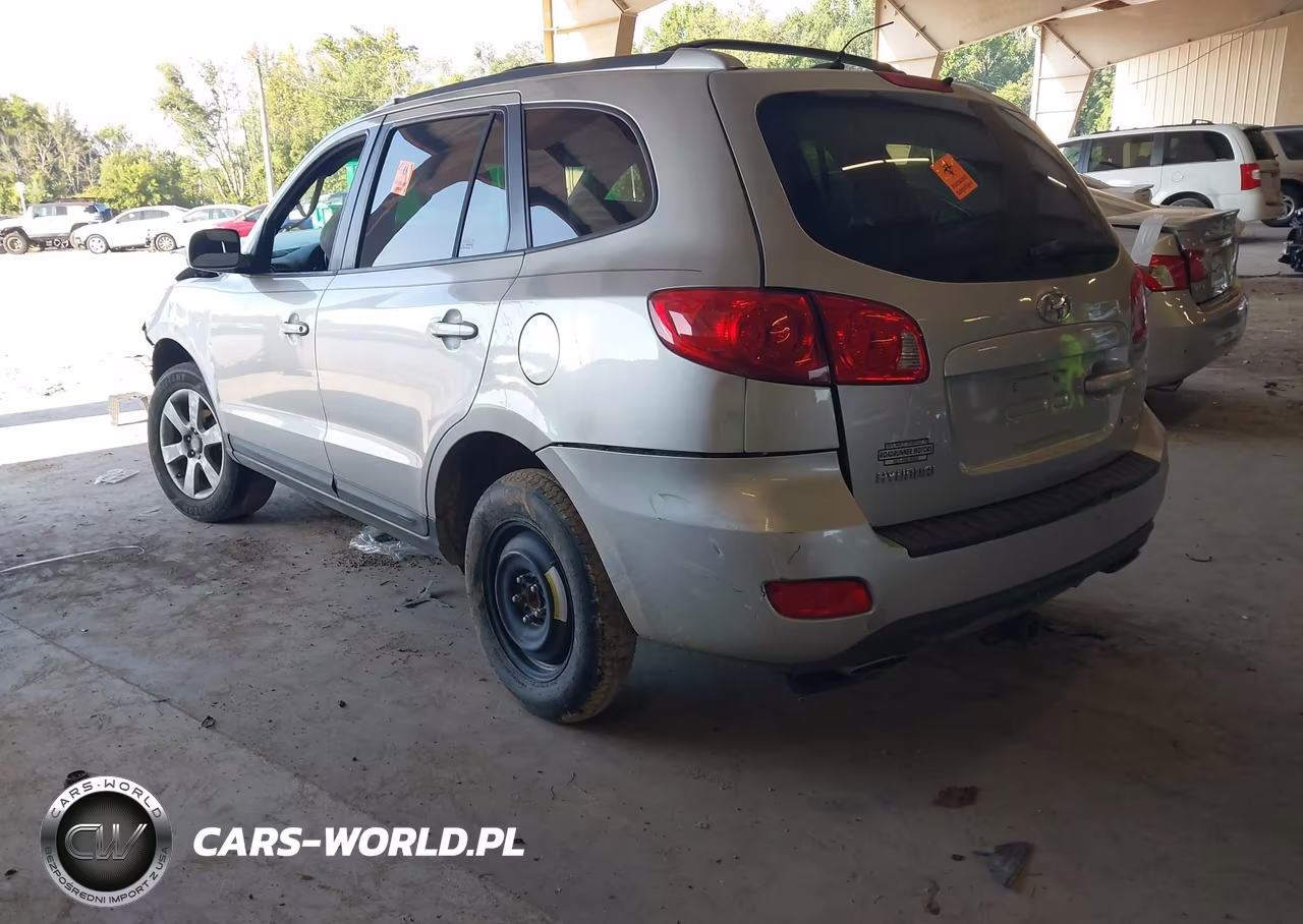 2009 Hyundai Santa Fe Se VIN:5NMSH13E79H239217 - 3