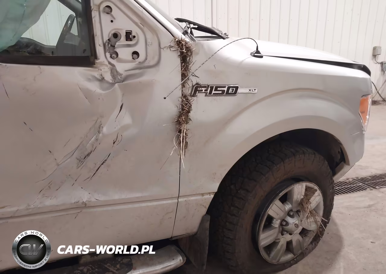 2010 Ford F-150 Fx4-Harley-Davidson-King Ranch-Lariat-Platinum-Xl-Xlt VIN:1FTFW1EV5AFB42023 - 13