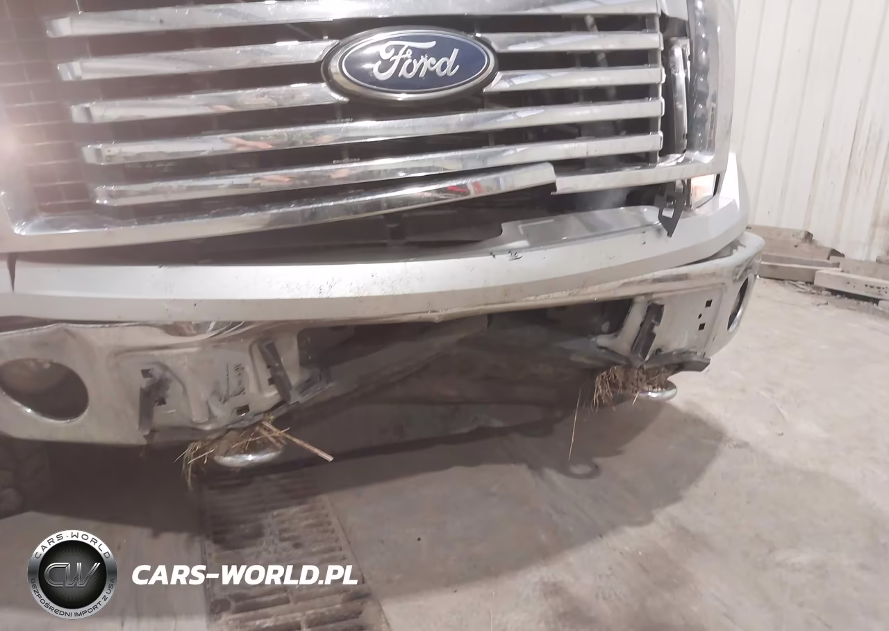 2010 Ford F-150 Fx4-Harley-Davidson-King Ranch-Lariat-Platinum-Xl-Xlt VIN:1FTFW1EV5AFB42023 - 14
