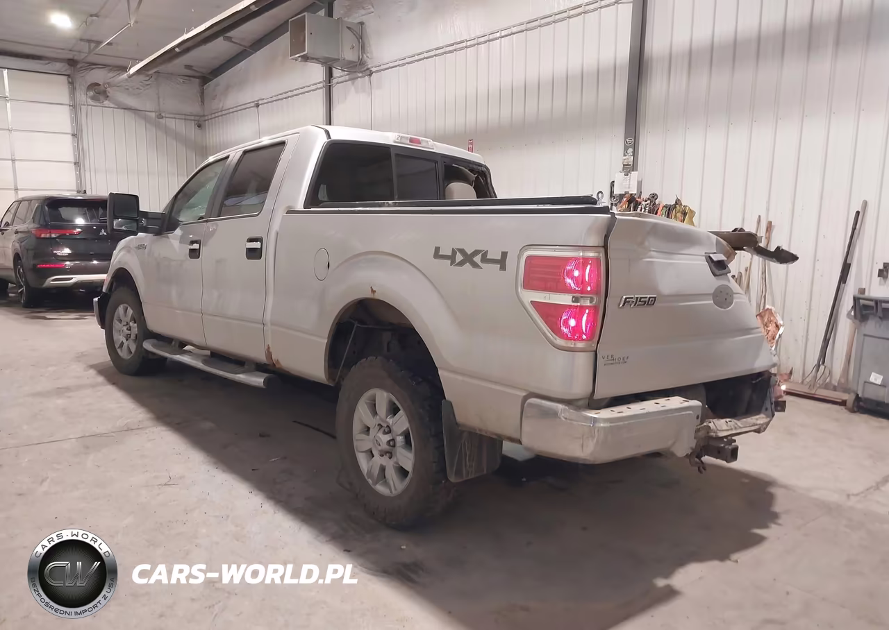 2010 Ford F-150 Fx4-Harley-Davidson-King Ranch-Lariat-Platinum-Xl-Xlt VIN:1FTFW1EV5AFB42023 - 3