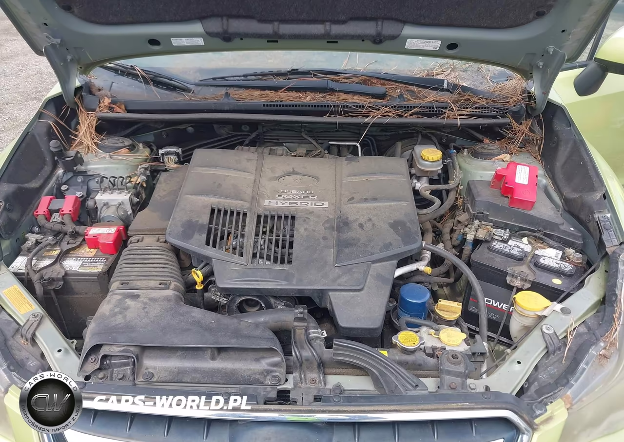 2014 Subaru Xv Crosstrek Hybrid 2.0I Touring VIN:JF2GPBKC4EH221964 - 10