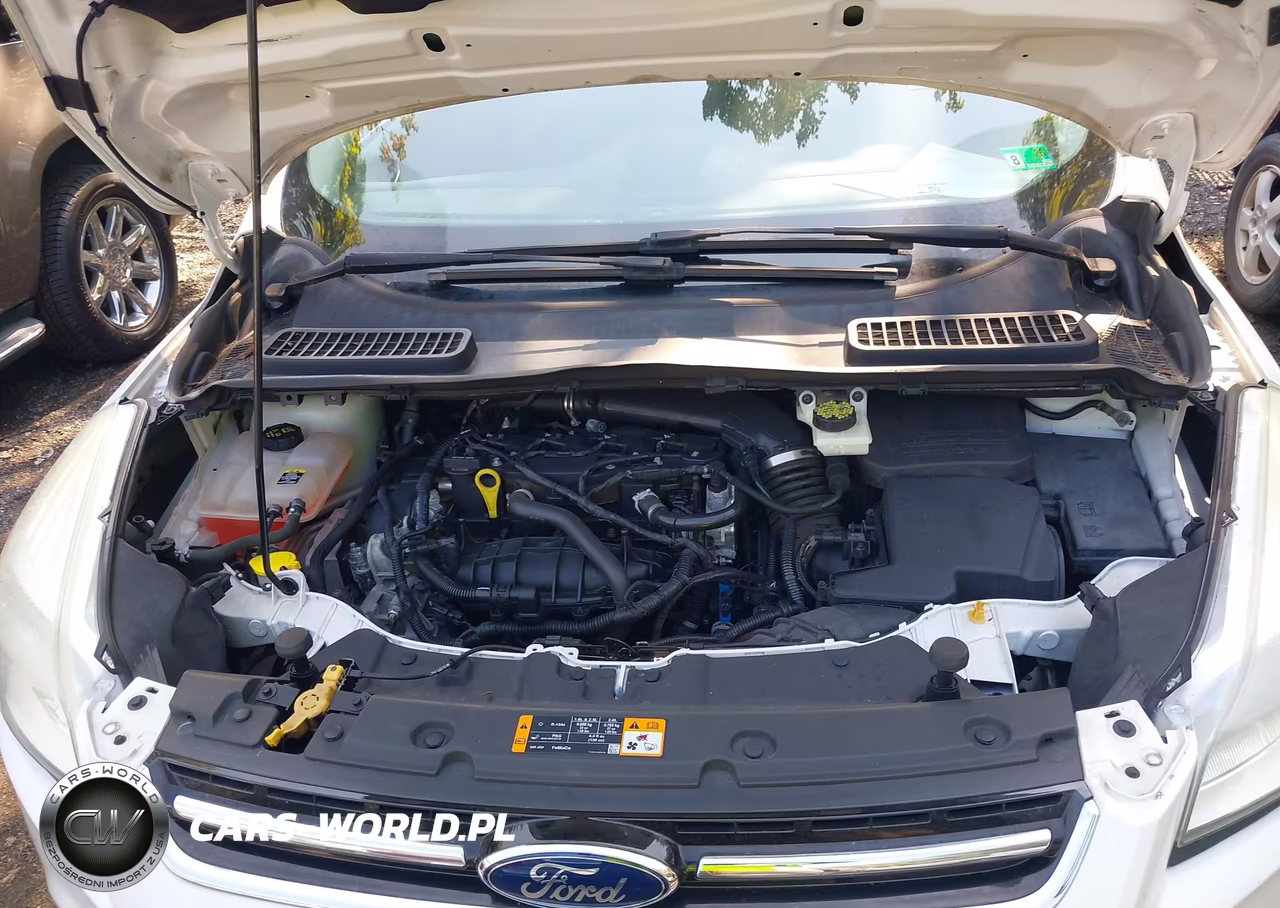 2013 Ford Escape Sel VIN:1FMCU0HX6DUA45926 - 10