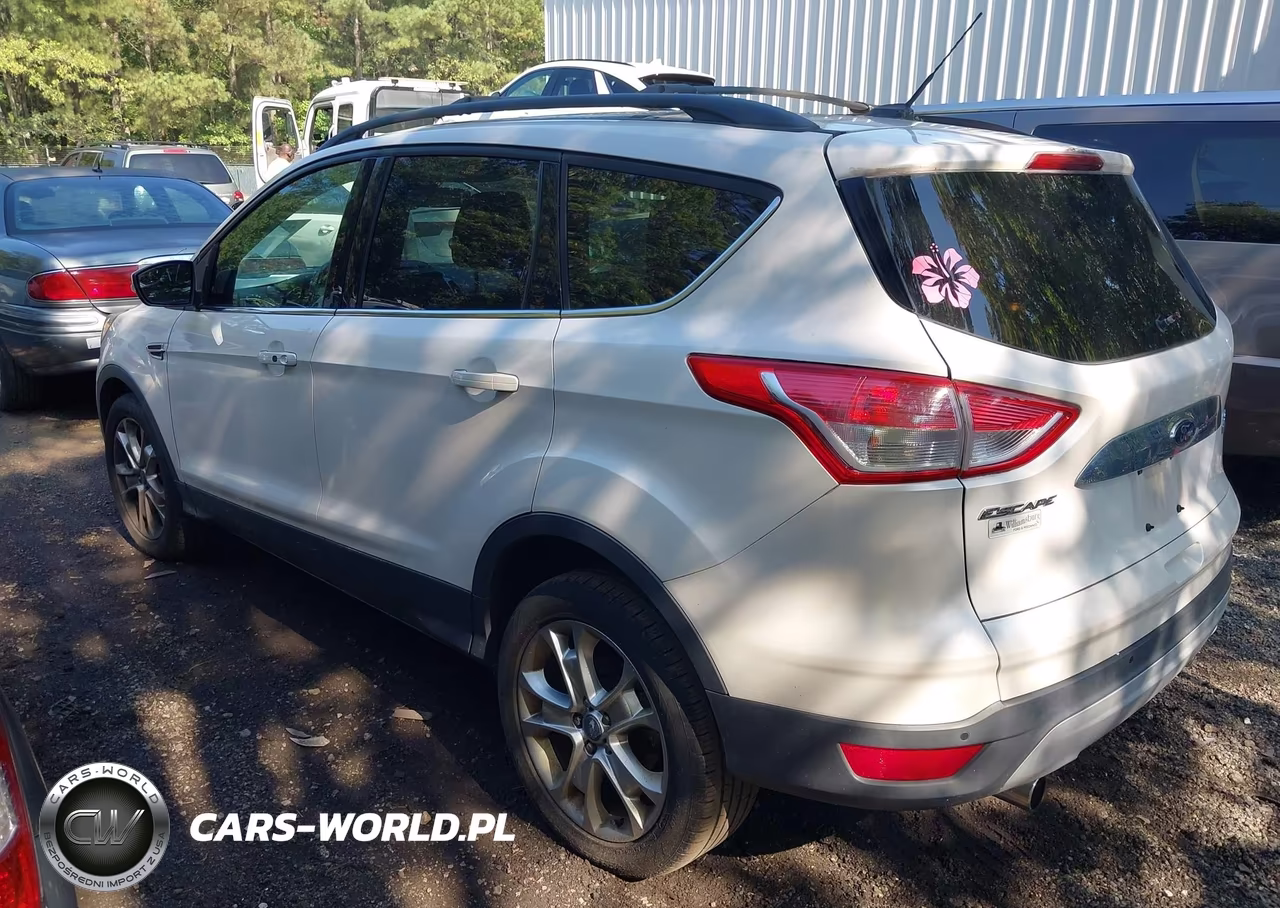 2013 Ford Escape Sel VIN:1FMCU0HX6DUA45926 - 3