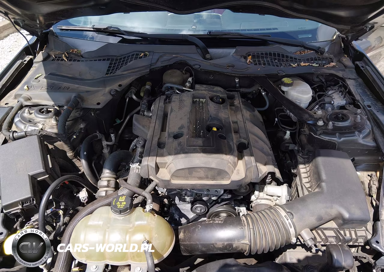 2017 Ford Mustang Ecoboost Premium VIN:1FATP8UH4H5258338 - 10