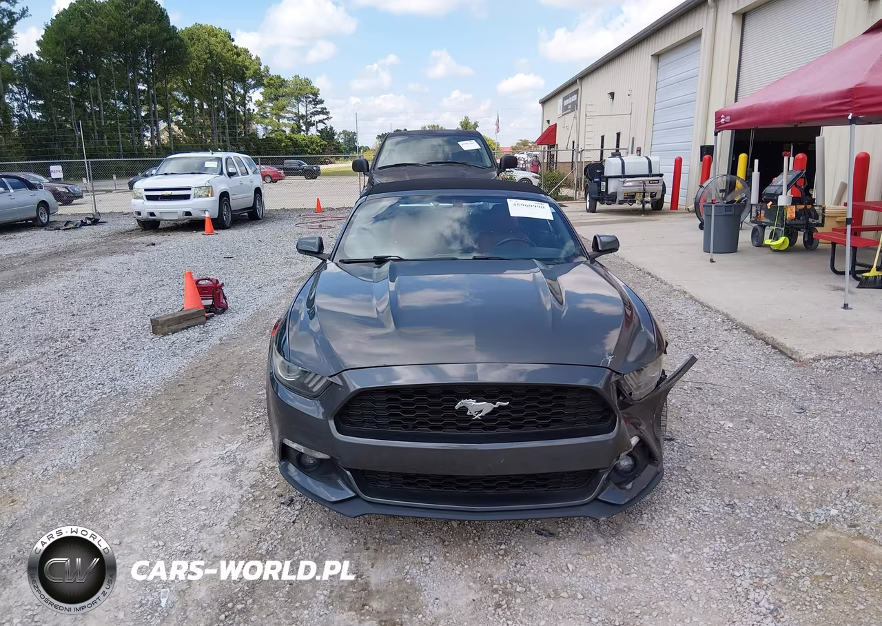 2017 Ford Mustang Ecoboost Premium VIN:1FATP8UH4H5258338 - 12