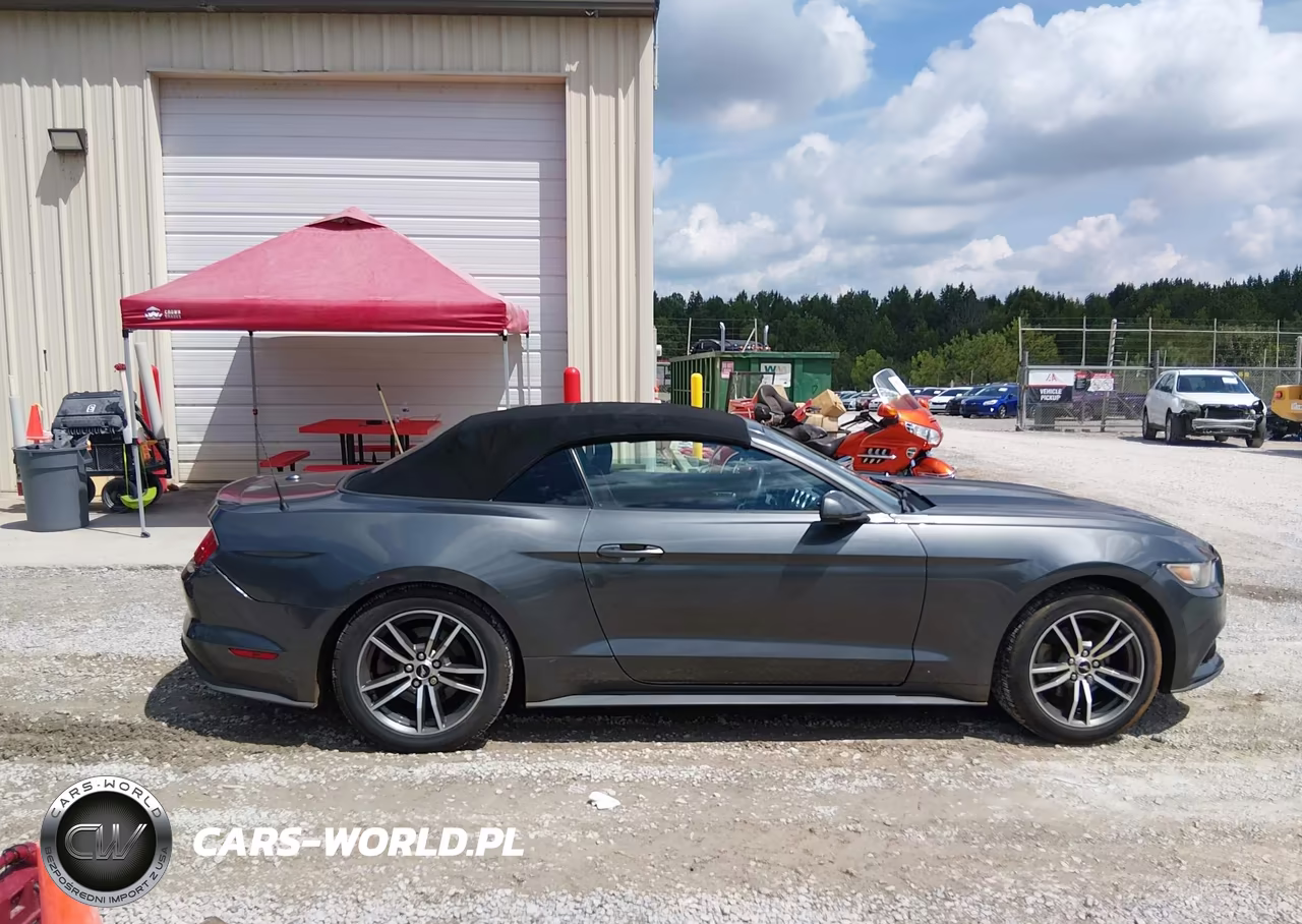 2017 Ford Mustang Ecoboost Premium VIN:1FATP8UH4H5258338 - 13