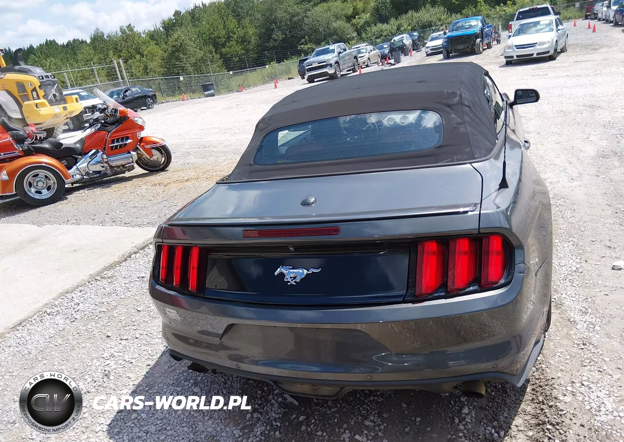 2017 Ford Mustang Ecoboost Premium VIN:1FATP8UH4H5258338 - 16