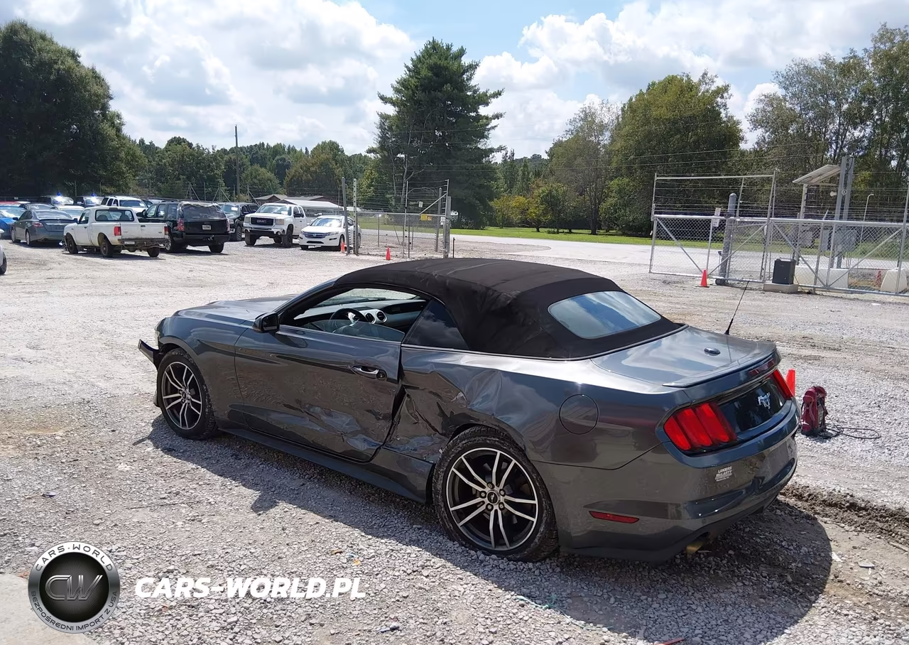 2017 Ford Mustang Ecoboost Premium VIN:1FATP8UH4H5258338 - 3