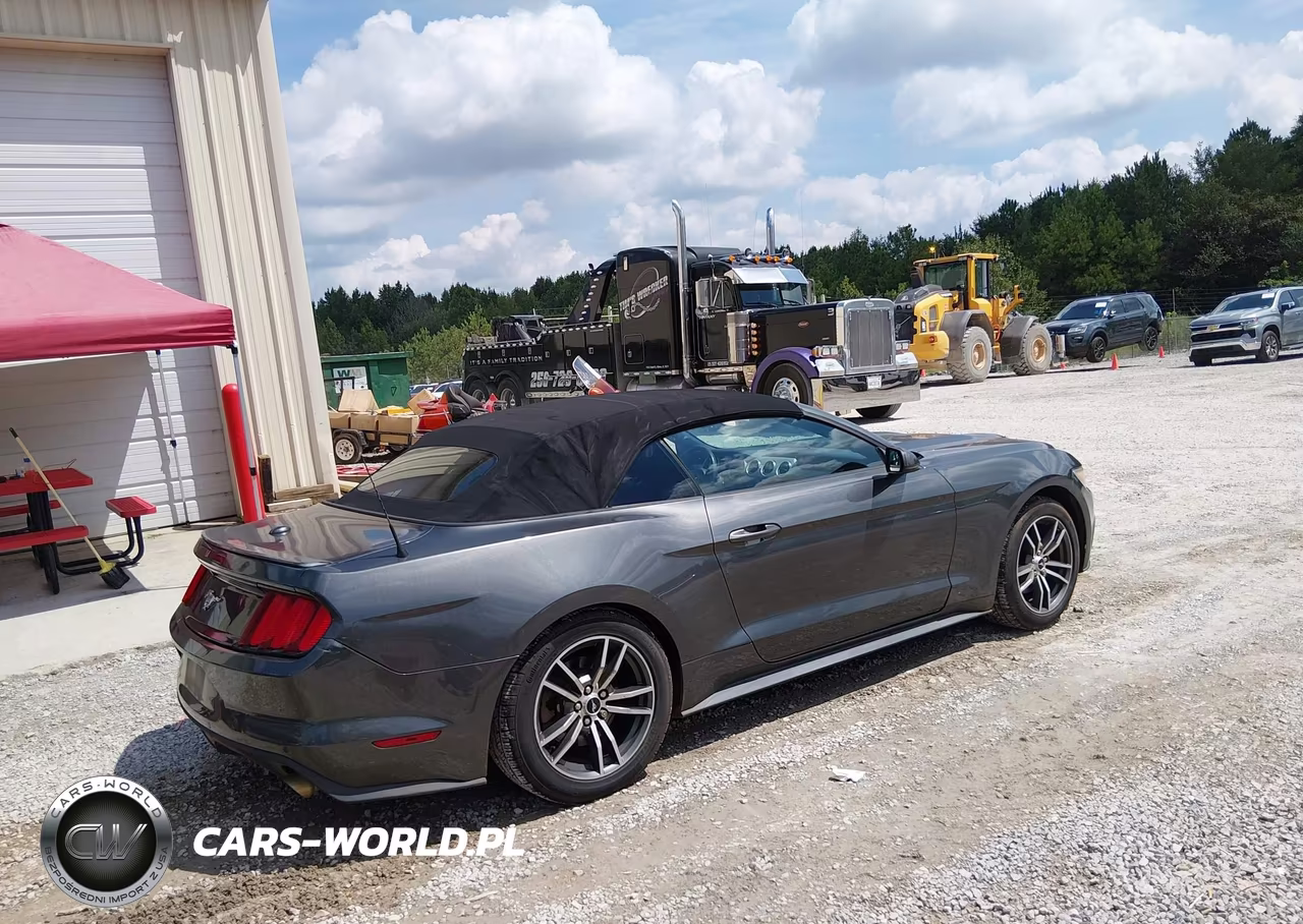 2017 Ford Mustang Ecoboost Premium VIN:1FATP8UH4H5258338 - 4
