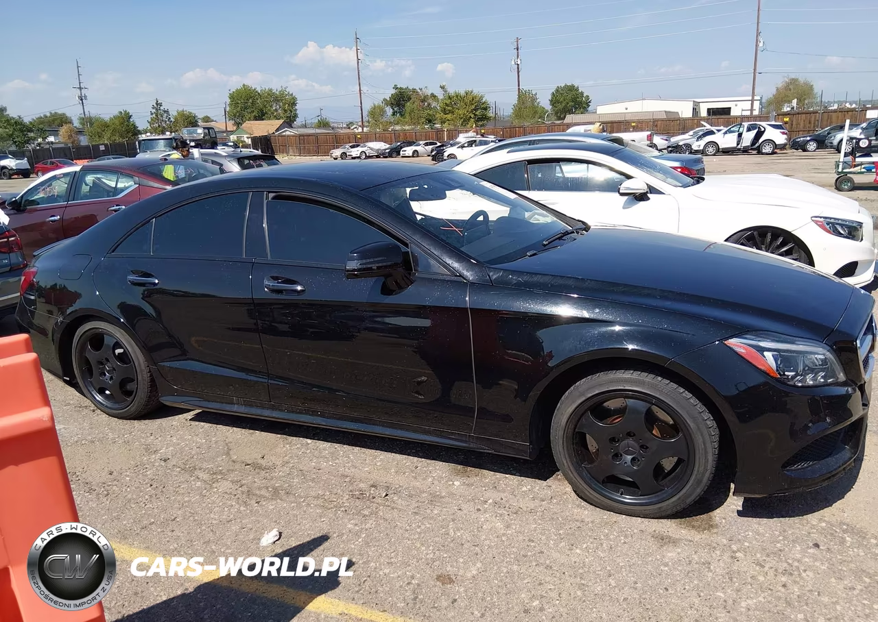 2016 Mercedes-Benz Cls 550 4Matic VIN:WDDLJ9BB4GA172829 - 13