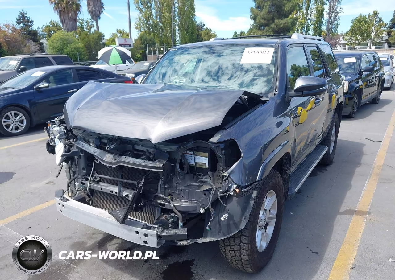 2017 Toyota 4Runner Sr5 Premium VIN:JTEBU5JR9H5409065 - 18