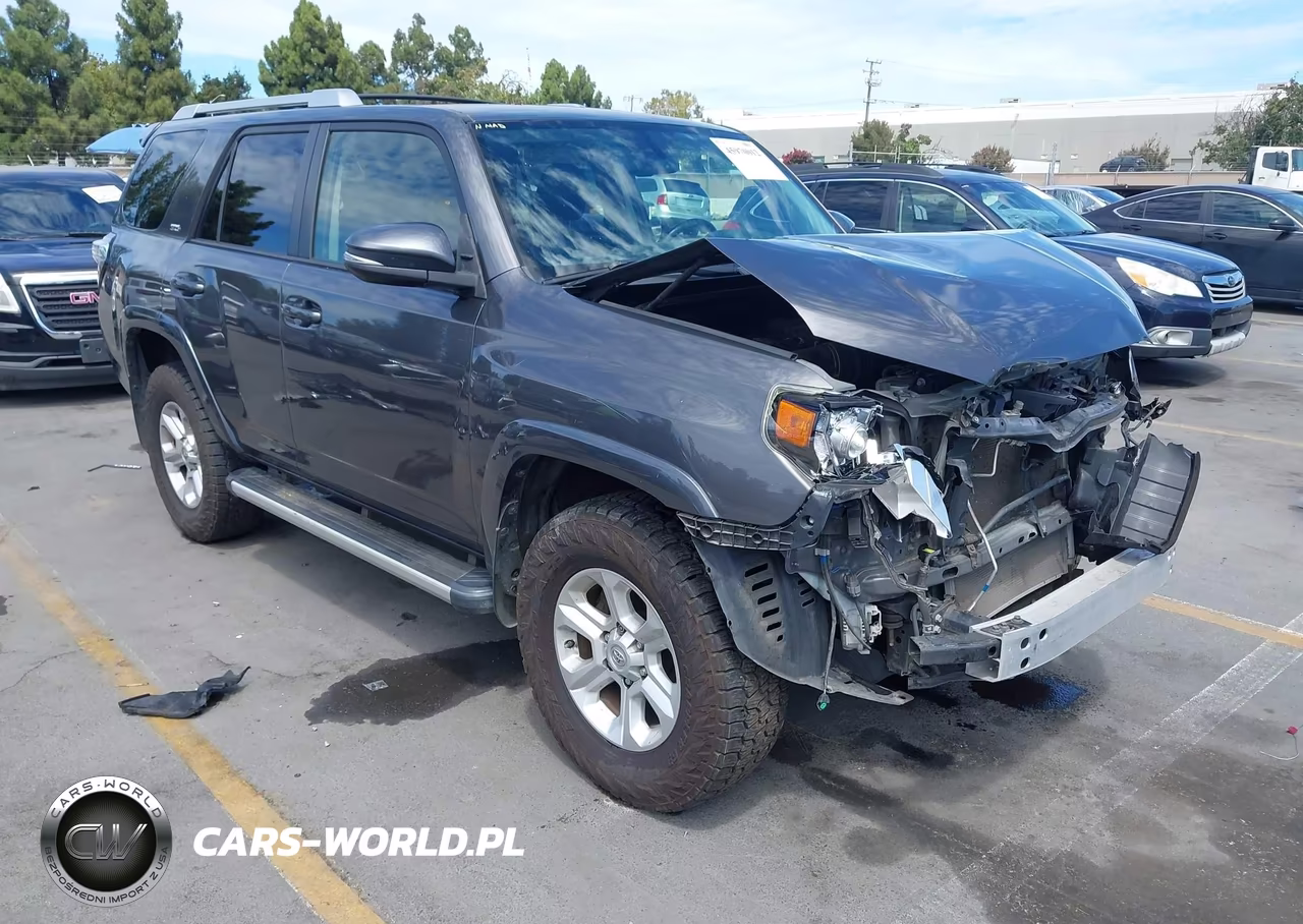 2017 Toyota 4Runner Sr5 Premium VIN:JTEBU5JR9H5409065 - 19