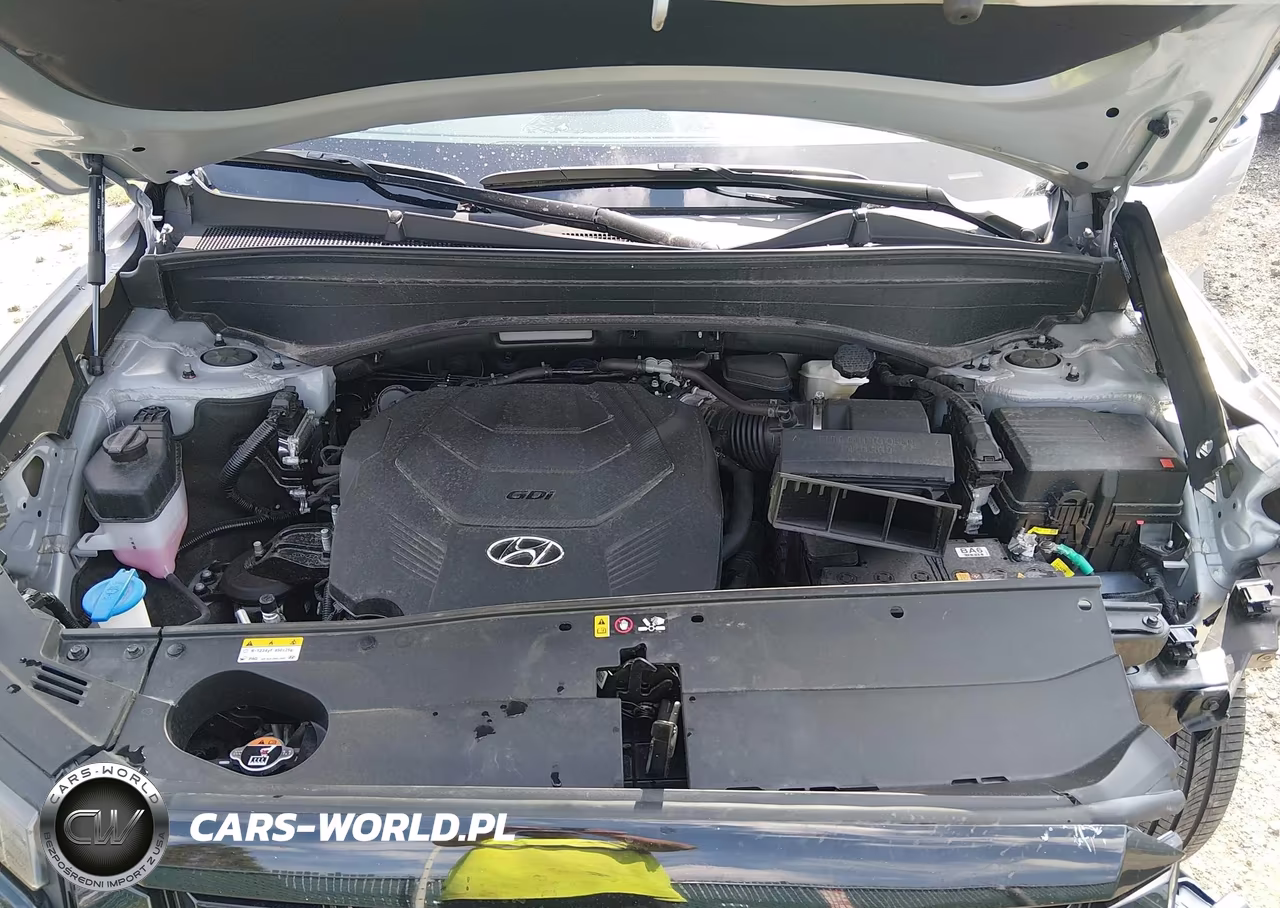 2025 Hyundai Palisade Sel Premium VIN:KM8R4DGE9SU824624 - 10