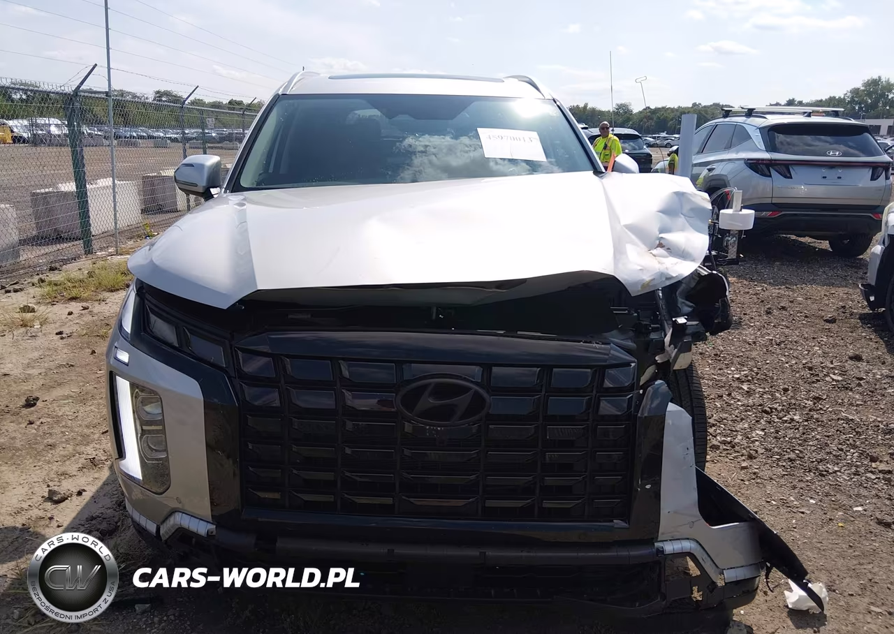2025 Hyundai Palisade Sel Premium VIN:KM8R4DGE9SU824624 - 13