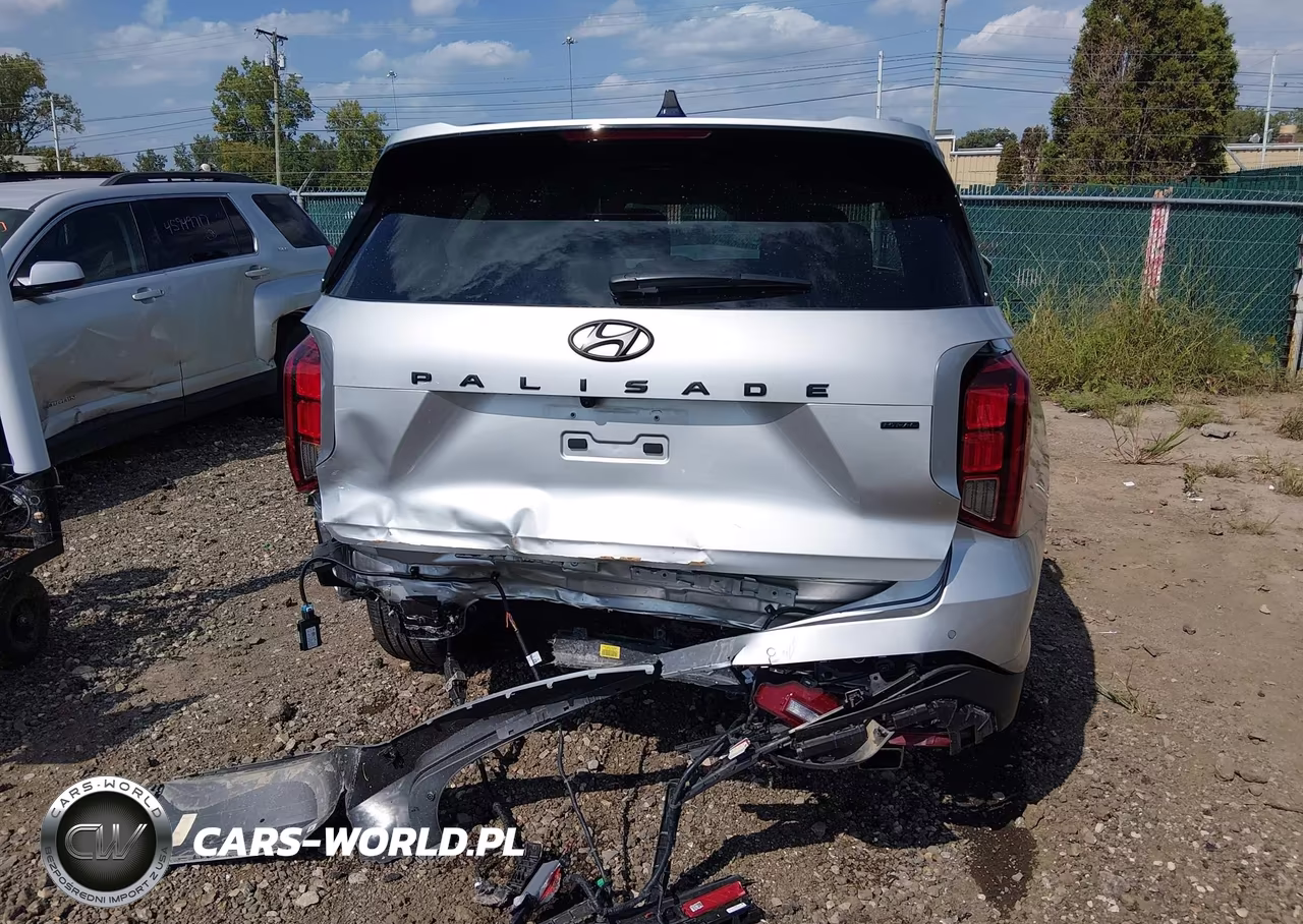 2025 Hyundai Palisade Sel Premium VIN:KM8R4DGE9SU824624 - 17